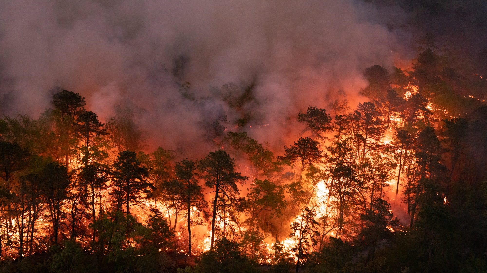 Wildfire near Jersey Shore contained; Burlington County fire still burning