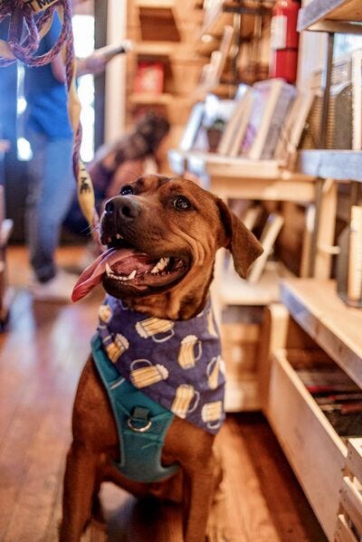 Barkley #A1150255