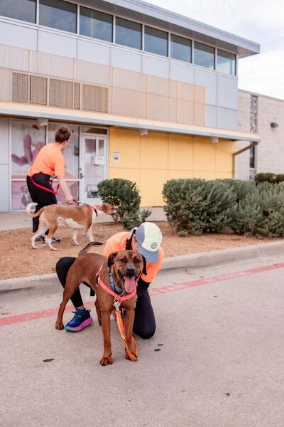 Barkley #A1150255