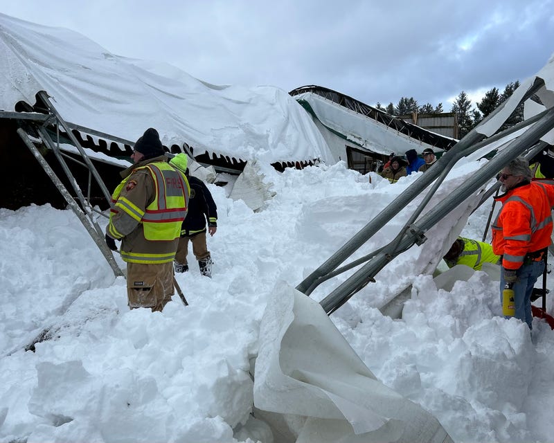 Cows killed in barn collapse