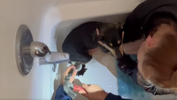 O.C. fire crews rescue Chihuahua stuck in bathtub drain