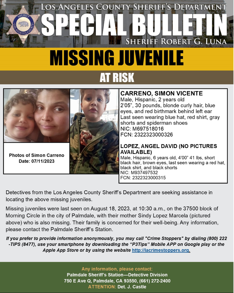 Authorities Seek Public Help Finding 31-Year-Old Mother, Two Sons