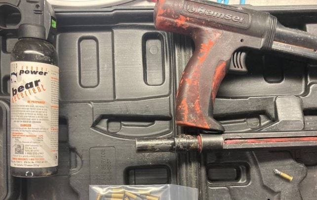 Bear spray and nail gun