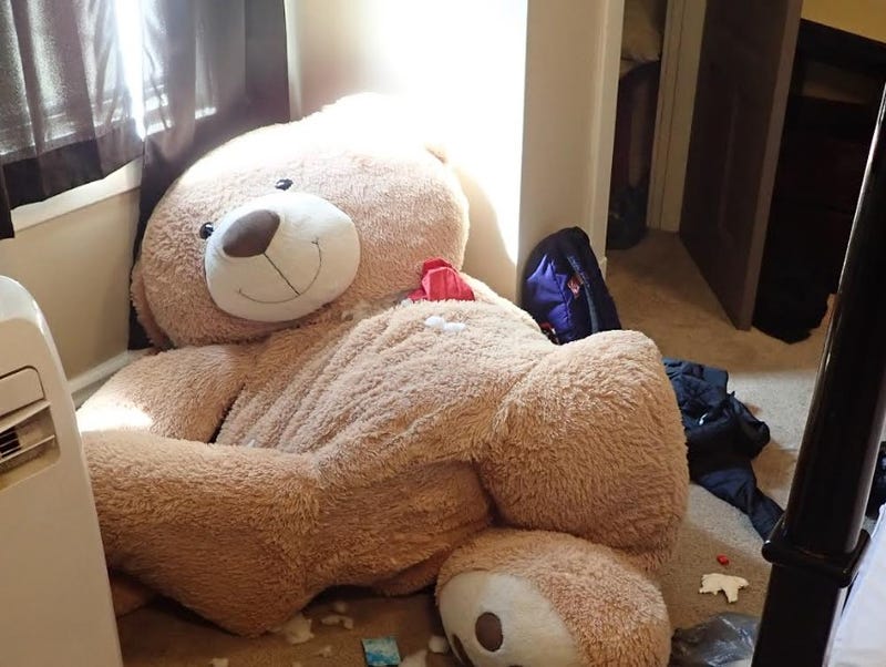 Teddy bear found with guns inside it