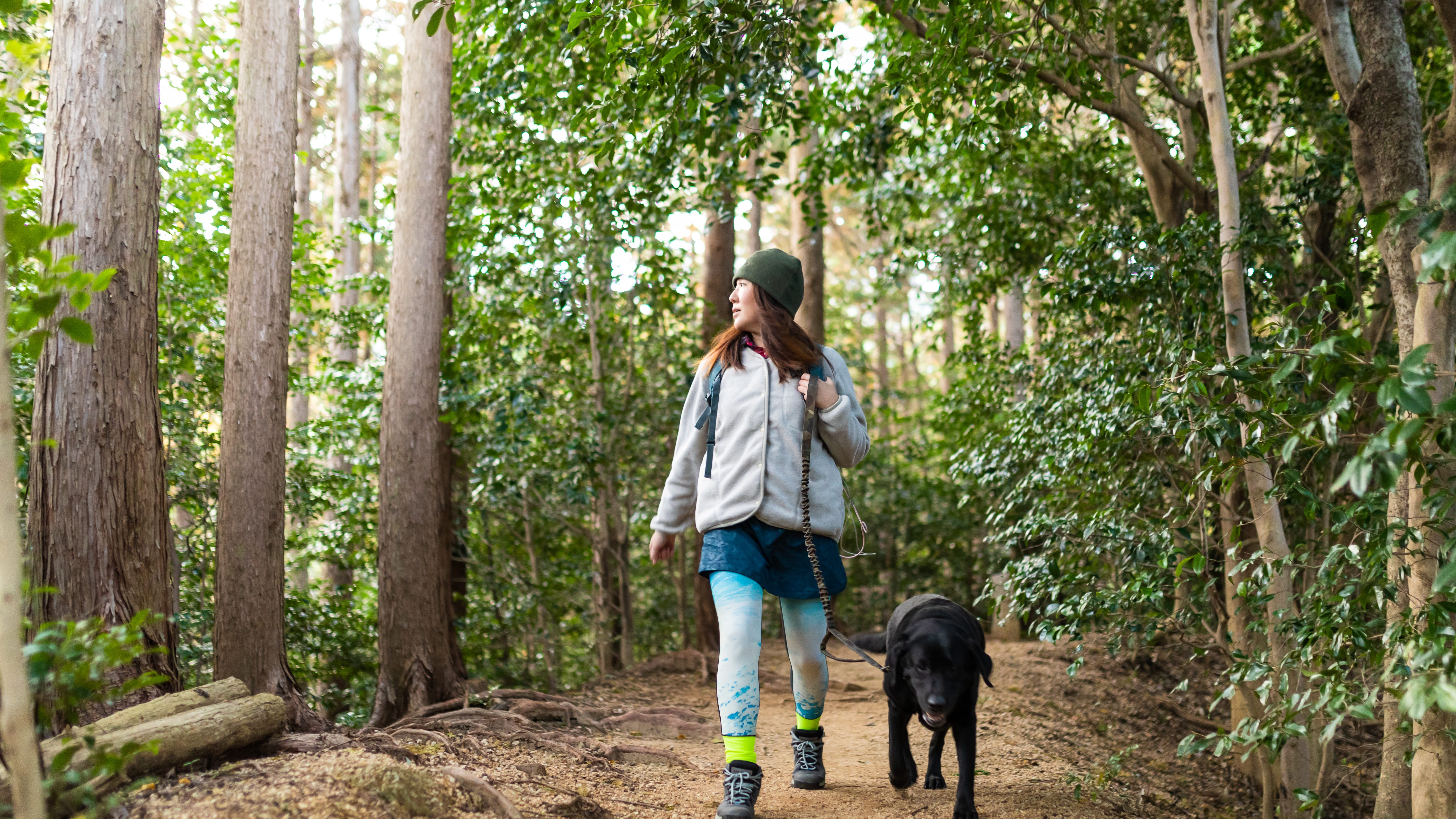The 3 Best Hiking Trails in South Jersey | Bee Well