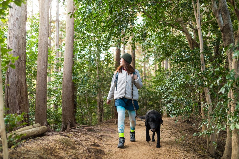 The 3 Best Hiking Trails in South Jersey
