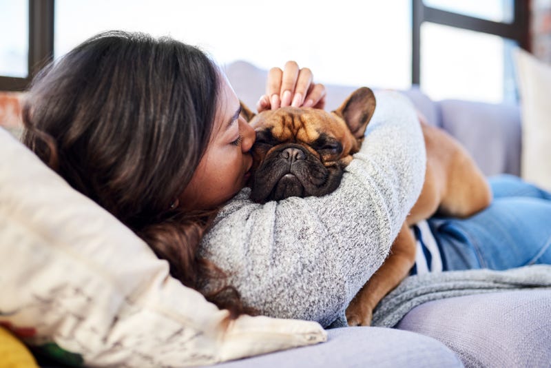Celebrate National Pet Day With These 6 Surprising Facts! | Bee Educated