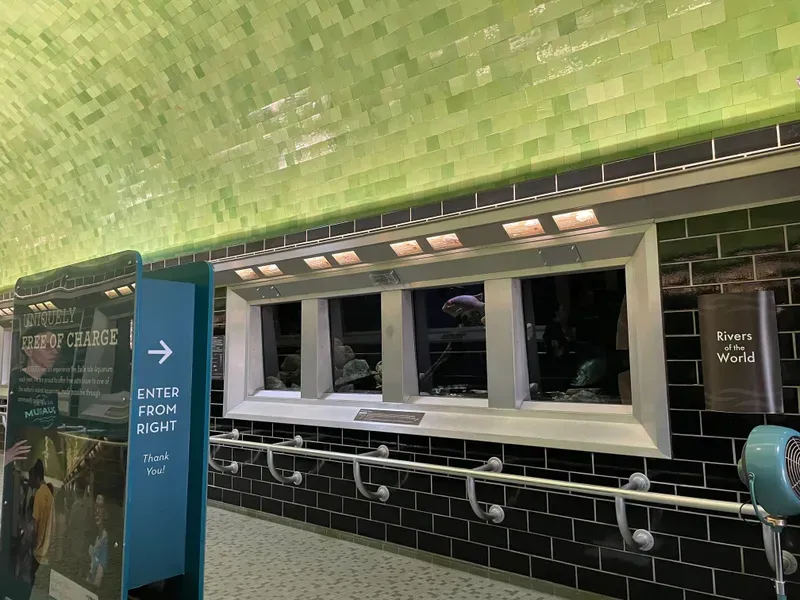 Inside Belle Isle Aquarium