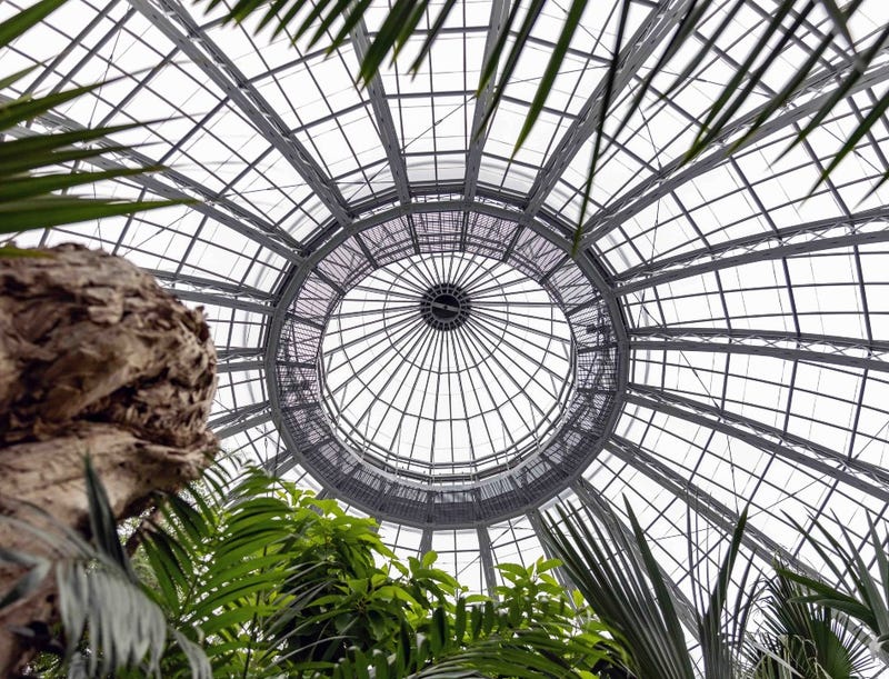 Renovated dome at Belle Isle's Anna Scripps Whitcomb Conservatory
