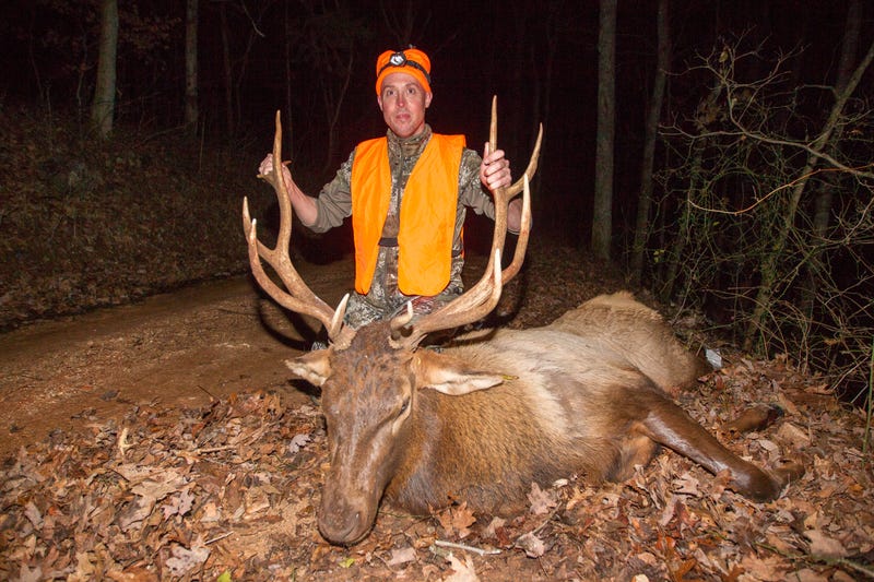 elk hunt
