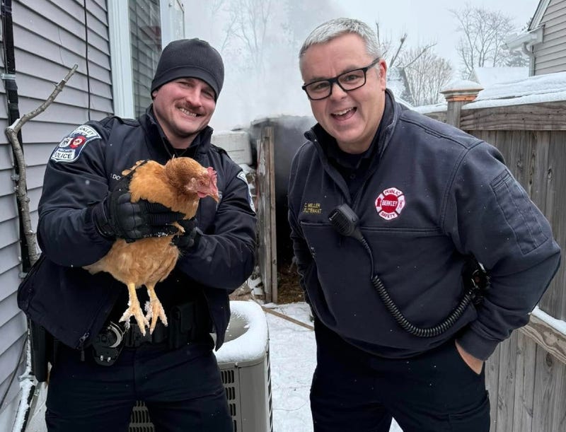 Berkley firefighters with rescued chicken