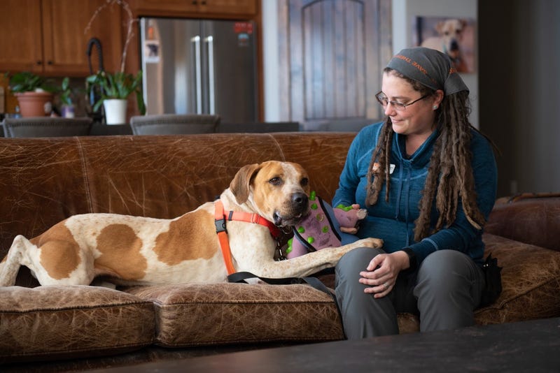 Best Friends Animal Society