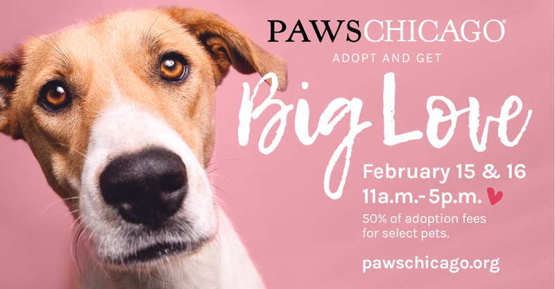 adoption event
