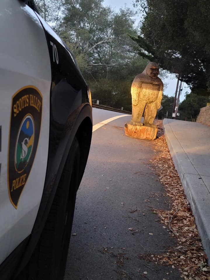 Scotts Valley Police responded to a suspicious figure in a roadway early Thursday and found the stolen wooden Bigfoot statue.