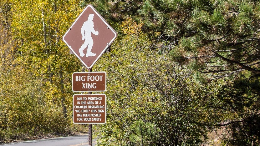 'Bigfoot is real': Multiple Sasquatch sightings reported in Michigan's Upper Peninsula
