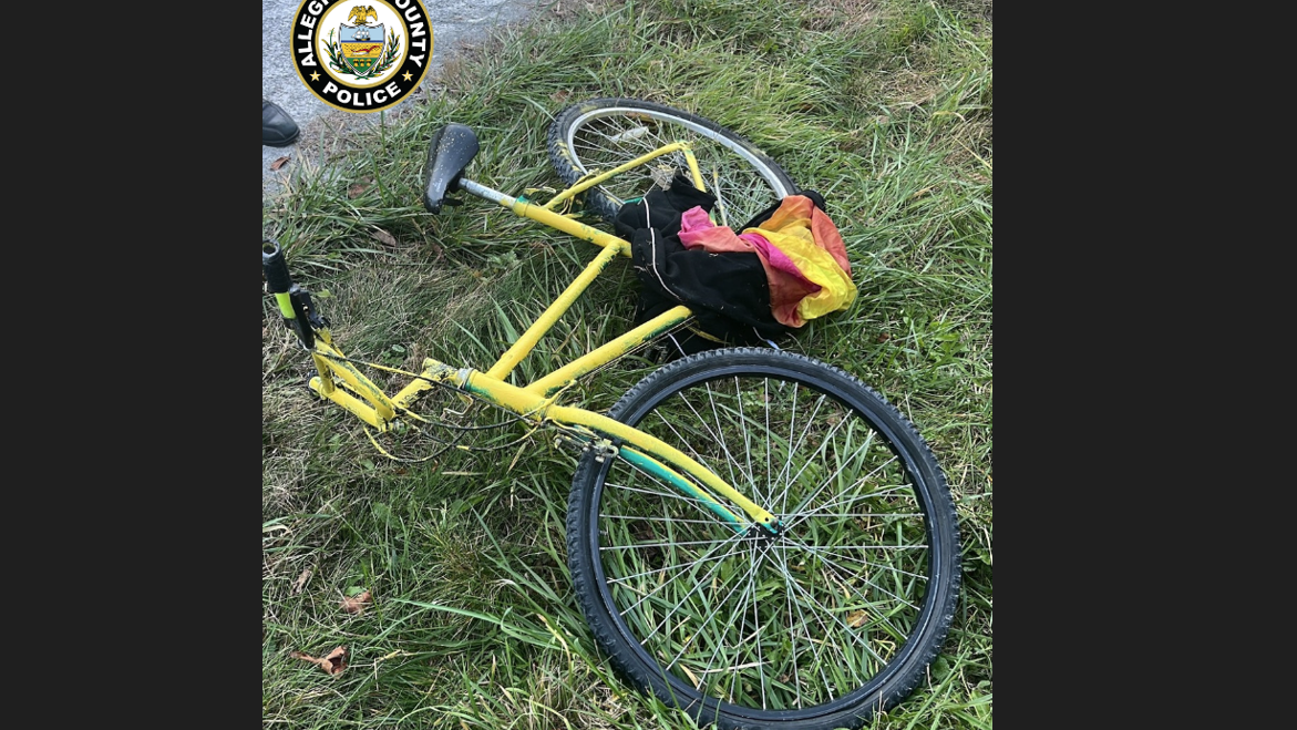 State Police Officer fatally stabbed along Montour Trail