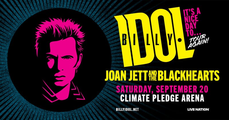 Billy Idol tour