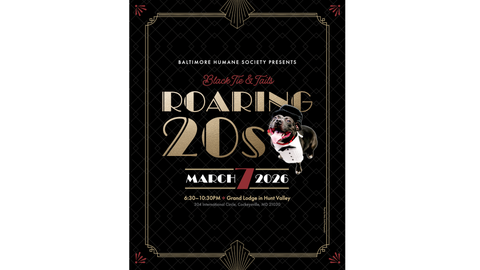Black Tie & Tails: Roaring 20s