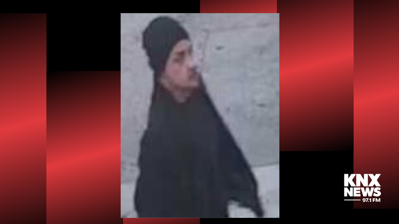 Culver City Sexual Assault Suspect