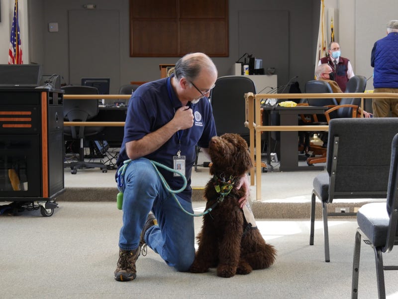 Gremlin is a 4-month-old Poodle/Labrador mix who had been paired with Blair Peters through VIP Service Dog Foundation of Hinckley. The service dogs assist disabled individuals with everyday activities.