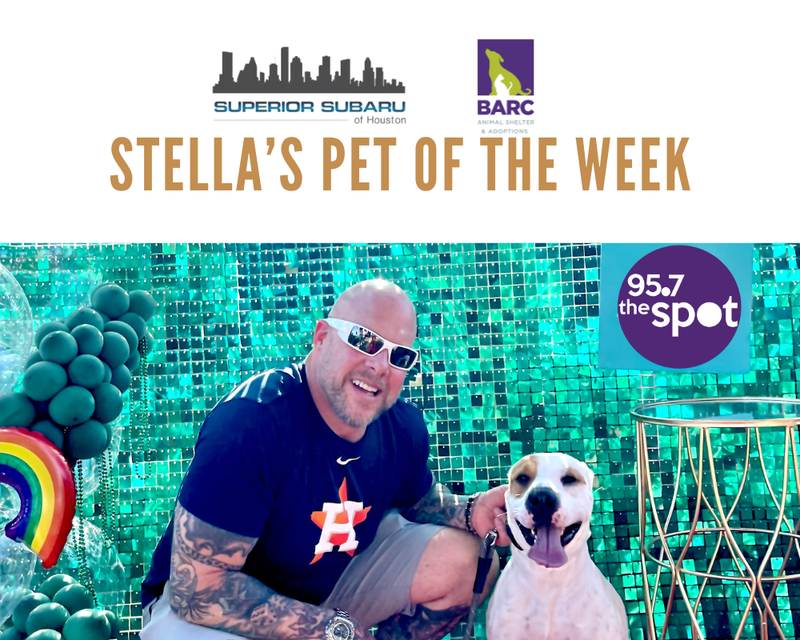 Pet of the Week
