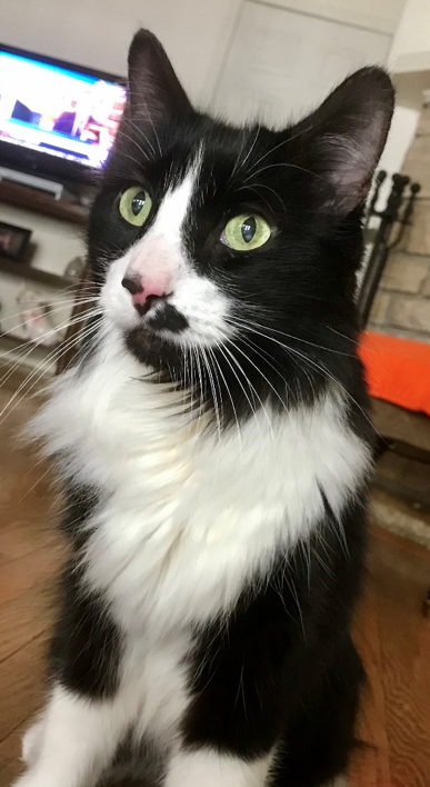 Bobby