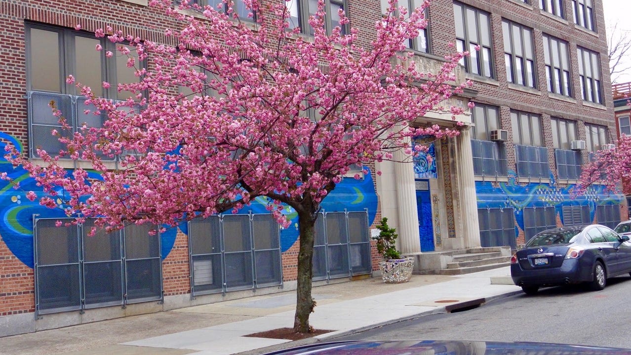Philly schools investigate 'toxic' culture leading to walkouts at Bodine H.S.