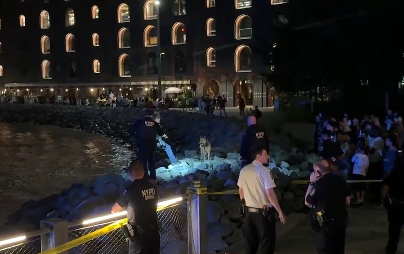Police investigate after bone fragments were found in Brooklyn Bridge Park Saturday evening, less than two weeks after similar discoveries.