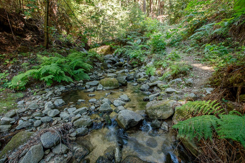 A view of the Mill Creek Dam on Sept. 27, 2021.