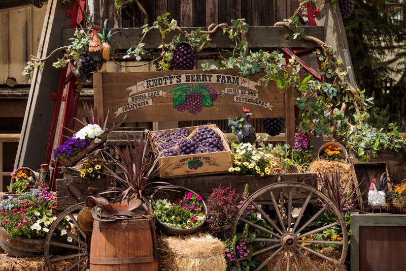 Knott's Boysenberry Festival 2024