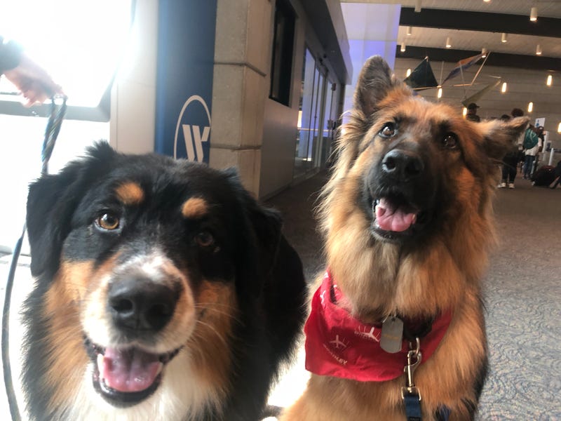 Bradley Buddies