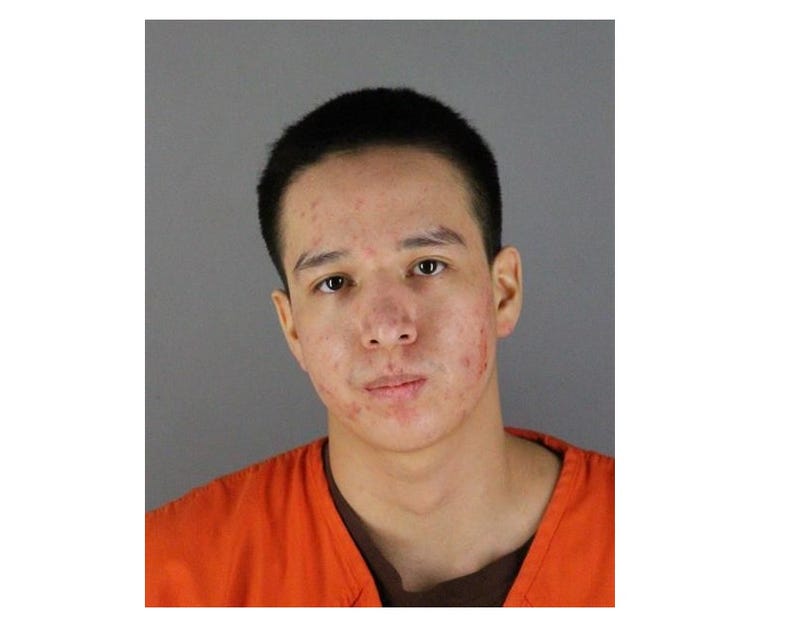Carjacking, Minneapolis, Hennepin County, Mugshot