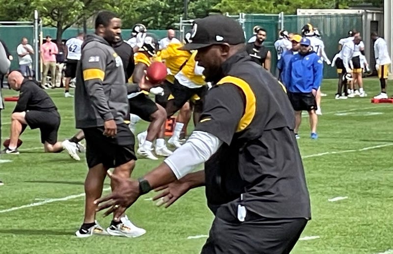 Brian Flores at Steelers practice