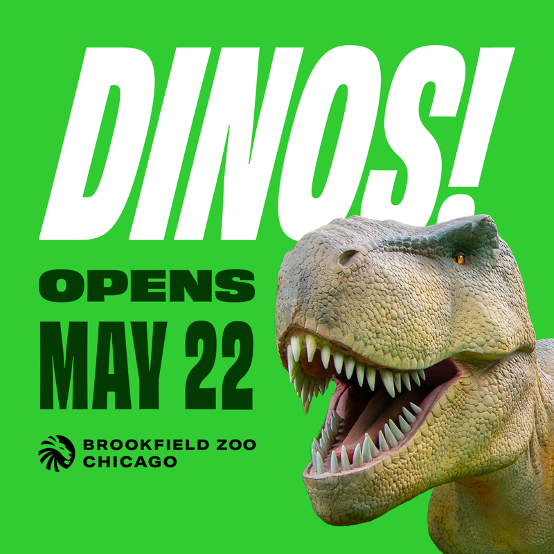 Brookfield Zoo Chicago