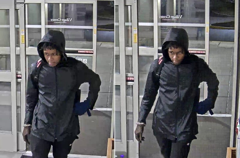 person sought in car break-ins in Detroit