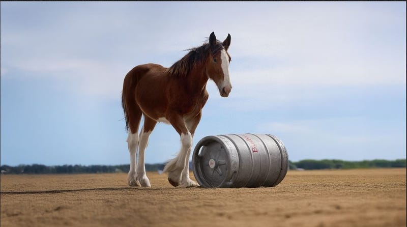 Anheuser-Busch