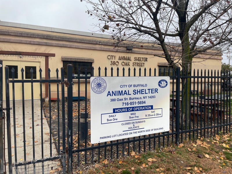 Buffalo Animal Shelter
