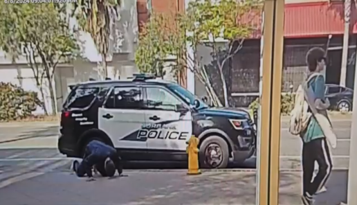 Burbank video