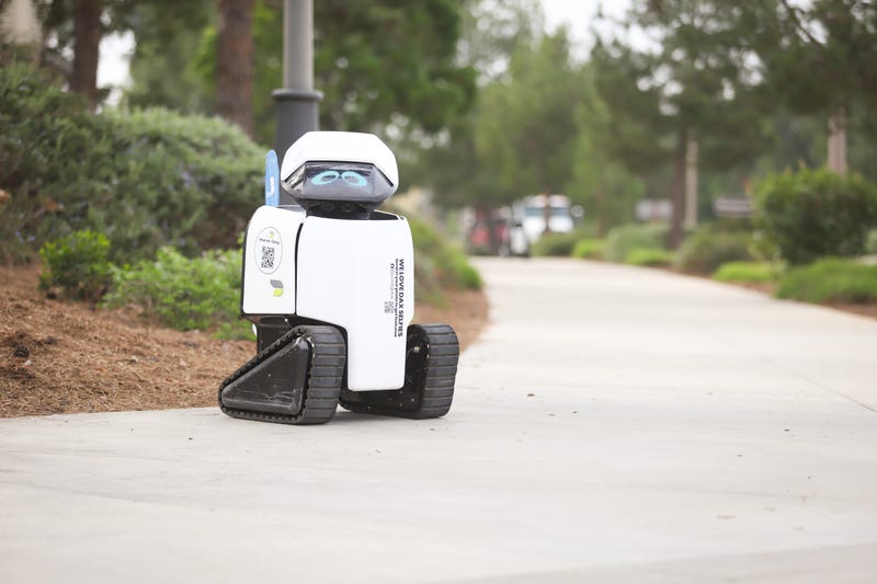 A small robot named Rook is quietly making history in the North Texas suburbs - rolling down Burleson sidewalks as part of what officials say is the first citywide robotic ADA sidewalk assessment ever conducted in Texas.