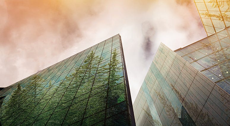 Sustainable Business