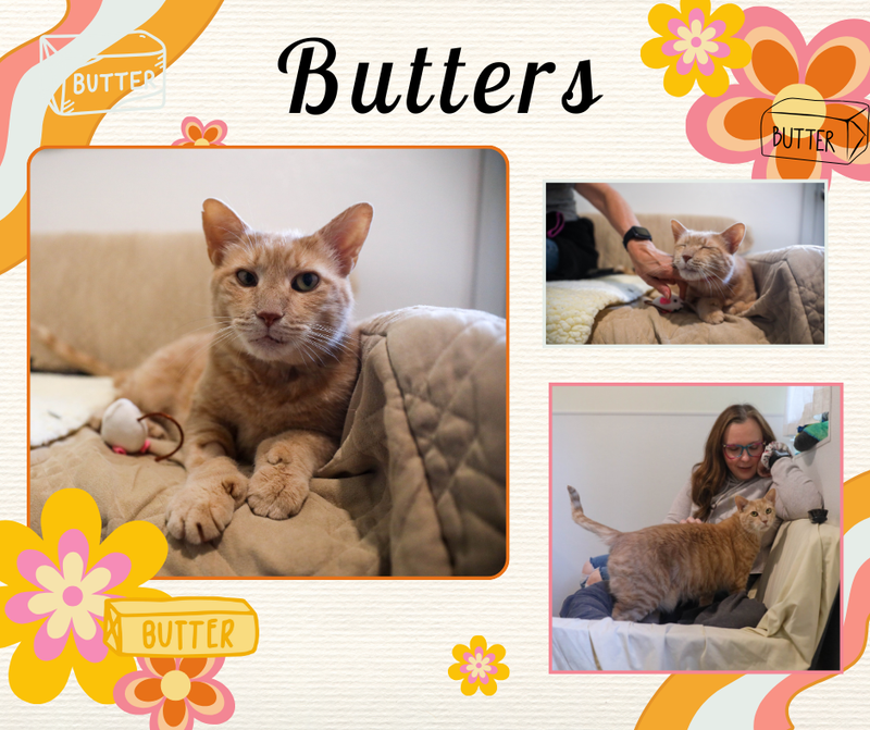 Butters