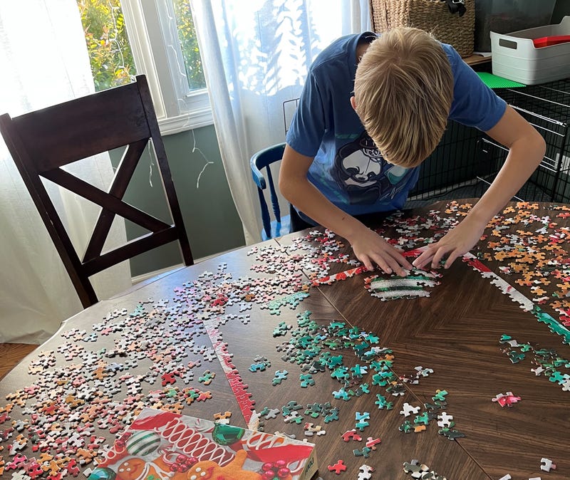 Buy Nothing Naperville puzzle