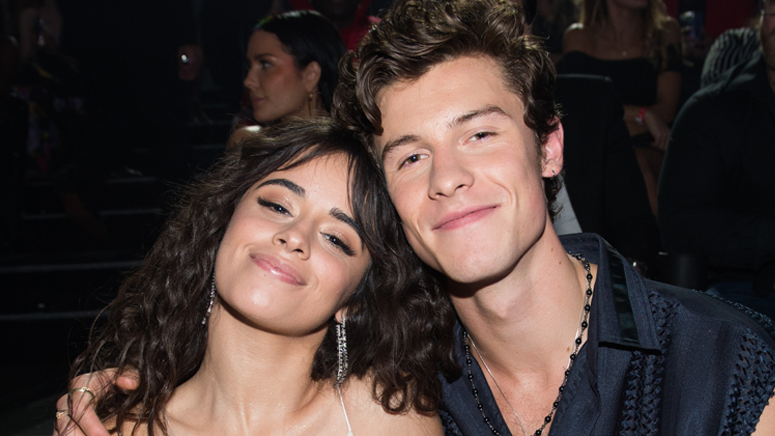 Not content with own cuteness, Shawn Mendes and Camila Cabello add a puppy to their home movies