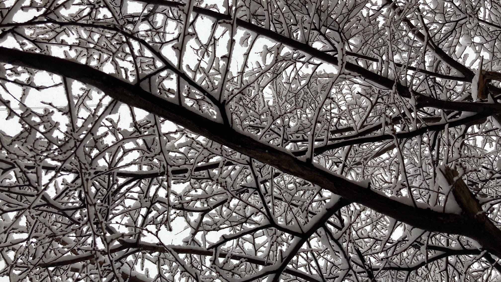 Final tally of snowfall Monday to Tuesday: 6 inches in Chicago, more in some 'burbs