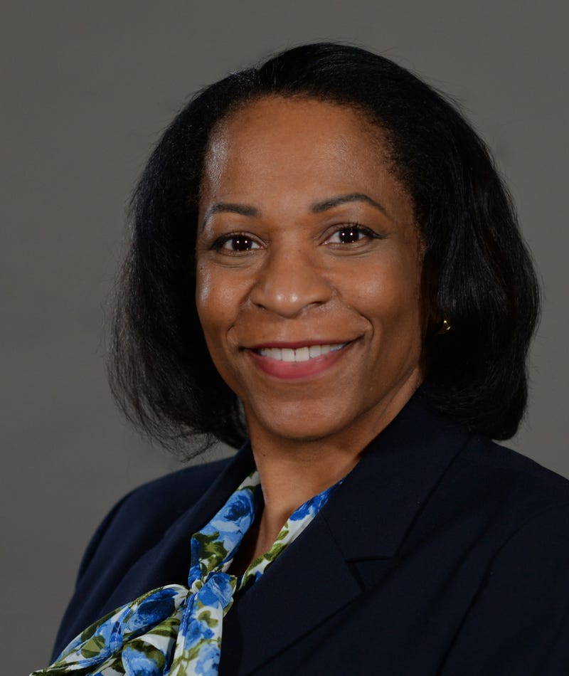 Metropolitan Council Vice Chair Reva Chamblis, Sheletta Brundidge, Blue Line, Train