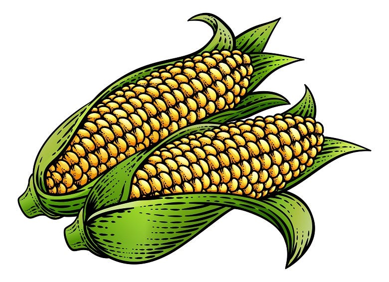 ears of corn
