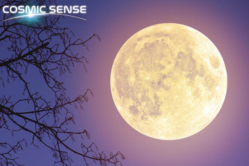 Moon