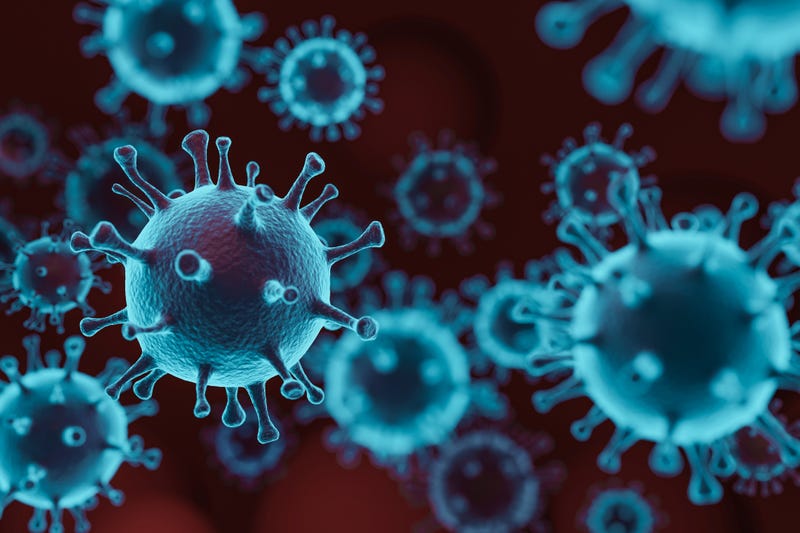 A virus