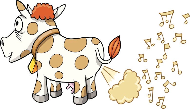 cow farting