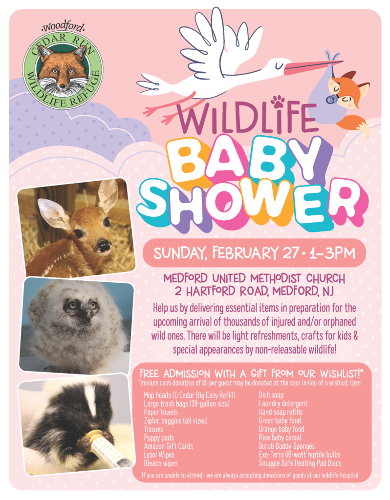 Cedar Run Wildlife Refuge
